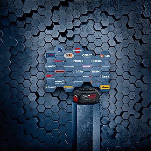 Bosch Professional 18V System Akku Drehschlagschrauber GDS 18V 450 HC (Anziehmoment 450 Nm, Losbrechmoment 800 Nm, inkl. 2x 5.0Ah Akku, Schnellladegerät GAL 18V 40, L BOXX) : Baumarkt